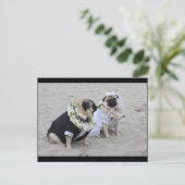 Carte Postale Carlins mariés et mariés mignons (Debout devant)