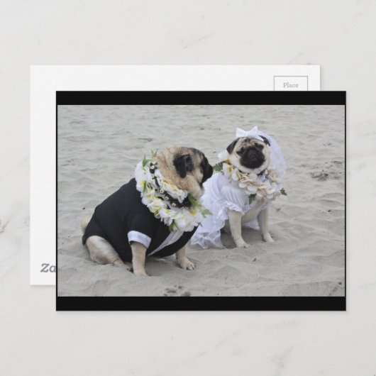 Carte Postale Carlins mariés et mariés mignons (Devant / Derrière)