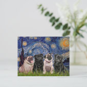 Carte Postale Carlins (Quatre, 2B, 2F) - Nuit étoilée (Debout devant)