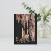 Carte Postale Carlsbad Caverns National Park, Nouveau-Mexique (Debout devant)