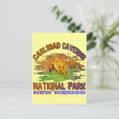 Carte Postale Carlsbad Caverns National Park, Nouveau-Mexique (Debout devant)