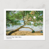 Carte Postale Carmel-by-the-Sea, comté de Monterey, Californie (Devant)