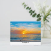 Carte Postale Carmel by the Sea Postcard (Debout devant)