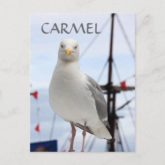 Carte postale Carmel, Seagull et Bateau (Devant)