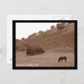 Carte postale Carmel Valley (Devant / Derrière)