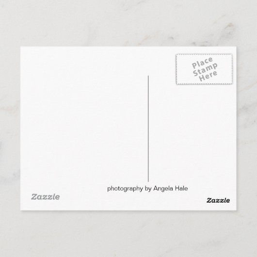 Carte postale Carmel Valley (Dos)