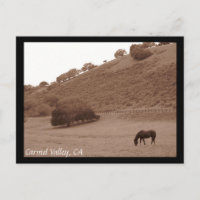 Carte postale Carmel Valley