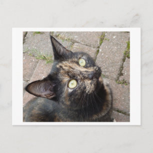 Carte Postale Carmen