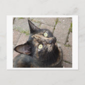 Carte Postale Carmen (Devant)