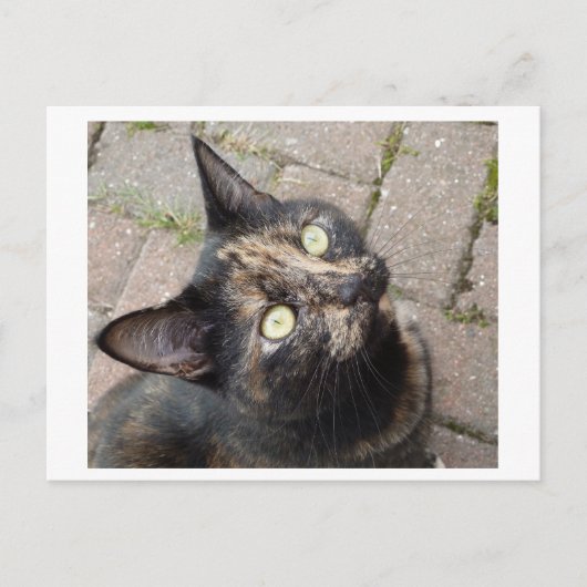 Carte Postale Carmen (Devant)