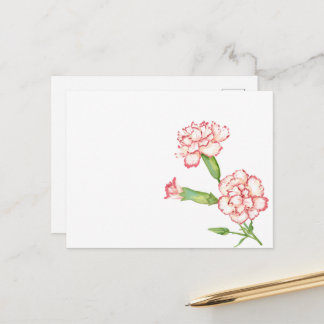 Carte postale Carnation