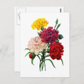 Carte Postale Carnation et Marigold Bouquet par Redoute (Devant / Derrière)