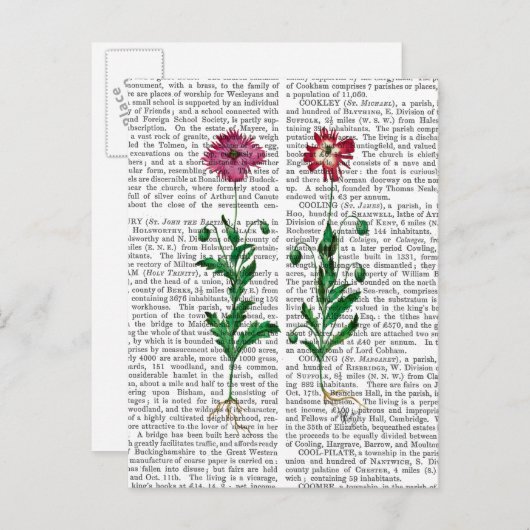 Carte Postale Carnation italienne 3 (Devant / Derrière)