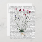 Carte Postale Carnation italienne 5 (Devant / Derrière)