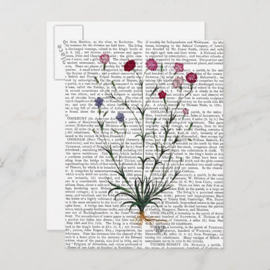 Carte Postale Carnation italienne 5 (Devant / Derrière)