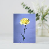 Carte Postale Carnation jaune (Debout devant)