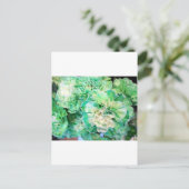 Carte Postale Carnation verte (Debout devant)