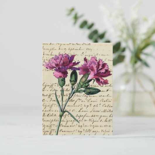 Carte Postale carnation vintage (Debout devant)