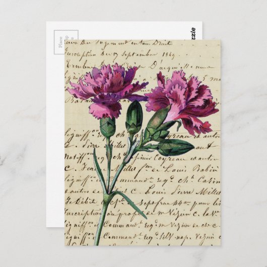 Carte Postale carnation vintage (Devant / Derrière)