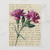 Carte Postale carnation vintage (Devant)