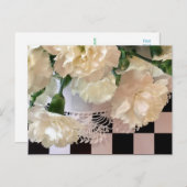 Carte postale Carnations blanches (Devant / Derrière)