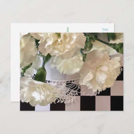 Carte postale Carnations blanches (Devant / Derrière)