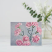 Carte Postale Carnations roses (Debout devant)