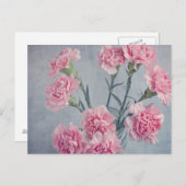Carte Postale Carnations roses (Devant / Derrière)