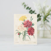Carte Postale Carnations Vintage Botanical (Debout devant)