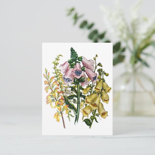 Carte Postale Carnaval des fleurs (Debout devant)