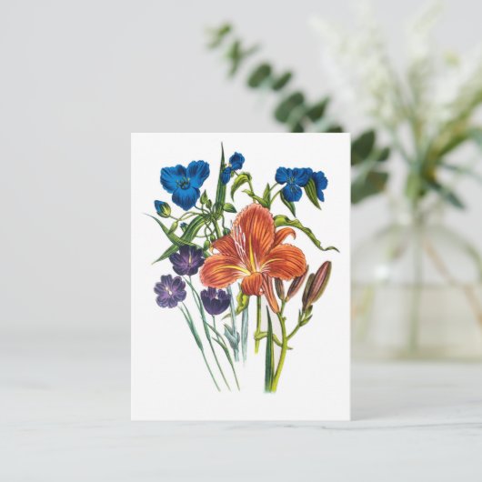 Carte Postale Carnaval des fleurs (Debout devant)