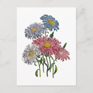 Carte Postale Carnaval des fleurs