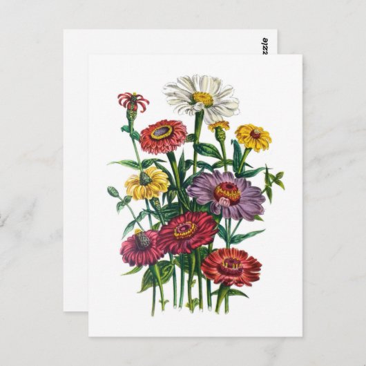 Carte Postale Carnaval des fleurs (Devant / Derrière)