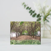 Carte Postale Carnegie Museum (Debout devant)