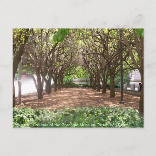 Carte Postale Carnegie Museum (Devant)
