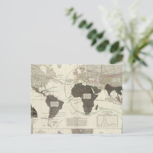 Carte Postale Carnivora (Debout devant)