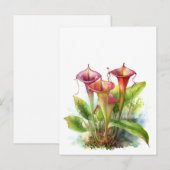 Carte Postale Carnivore Pitcher Plante Botanique Aquarelle Art (Devant / Derrière)