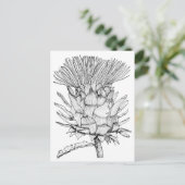 Carte Postale Caro le cardoon (Debout devant)