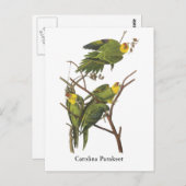 Carte Postale Carolina Parakeet, John Audubon (Devant / Derrière)