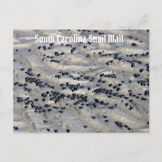 Carte Postale Carolina Sud Snail Mail 2 (Devant)