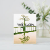 Carte Postale Caroline du nord (Debout devant)