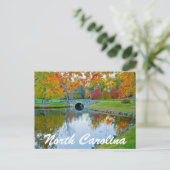 Carte Postale Caroline du nord (Debout devant)