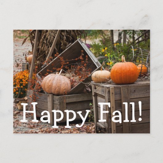 Carte Postale Caroline du Nord, Linville, citrouilles d'automne (Devant)