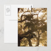 Carte Postale Caroline du Sud (Devant / Derrière)