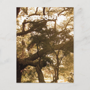 Carte Postale Caroline du Sud