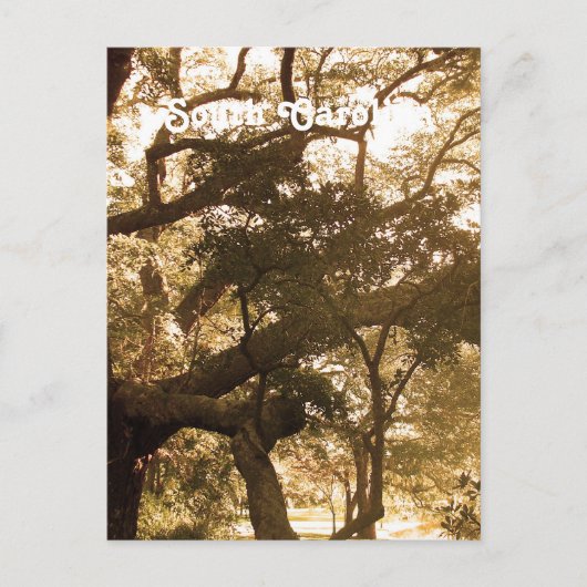 Carte Postale Caroline du Sud (Devant)