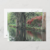 Carte Postale Caroline du Sud, Charleston (Devant / Derrière)