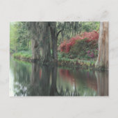 Carte Postale Caroline du Sud, Charleston (Devant)