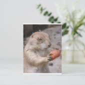 Carte Postale Carotte (Debout devant)