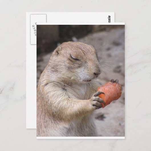 Carte Postale Carotte (Devant / Derrière)